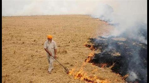 stubble burning problem in punjab