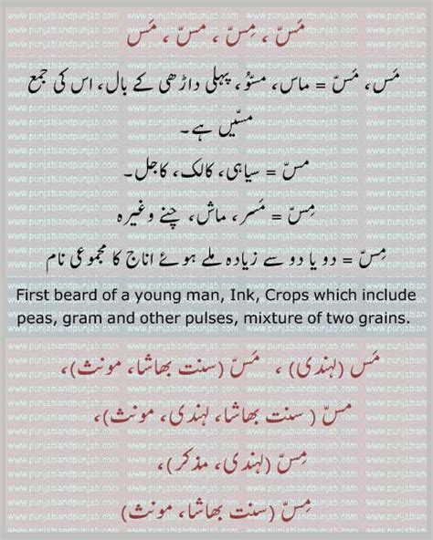 stubble meaning in urdu