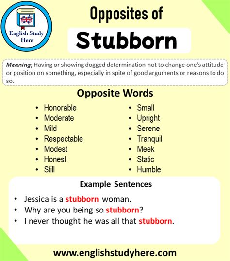 stubborn meaning and antonyms