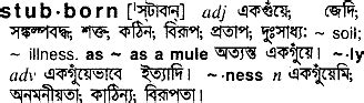 stubborn meaning in bangla