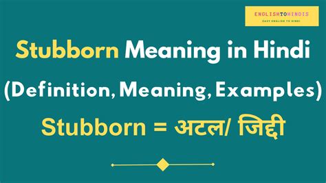 stubborn meaning in hindi and english