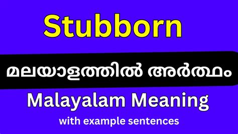 stubborn meaning in malayalam