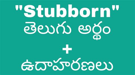 stubborn meaning in telugu