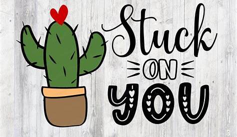 stuck on you cactus 18 svg sca