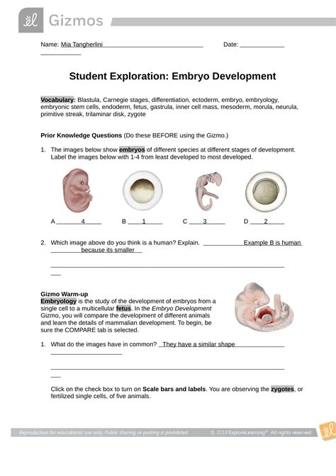 student exploration embryo development