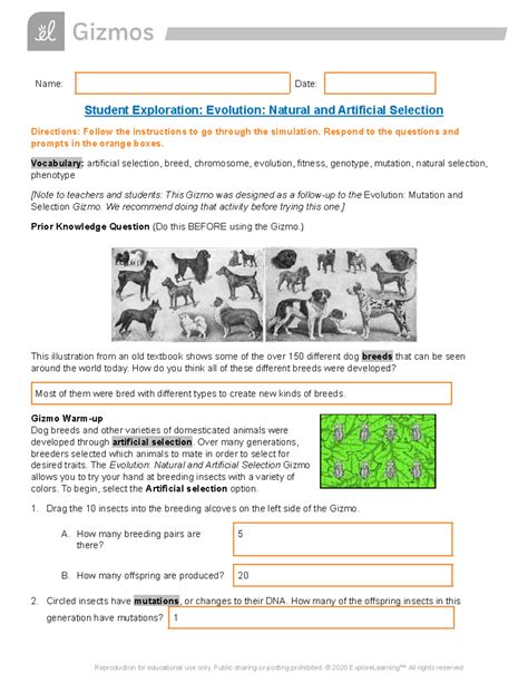 student exploration evolution natural and artificial selection