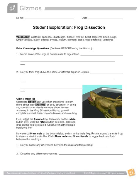 student exploration frog dissection