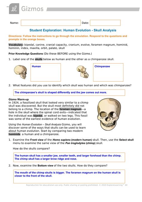 student exploration human evolution - skull analysis