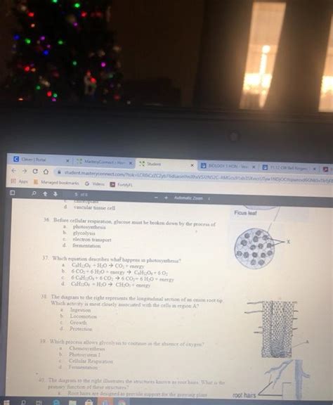 student.masterconnect