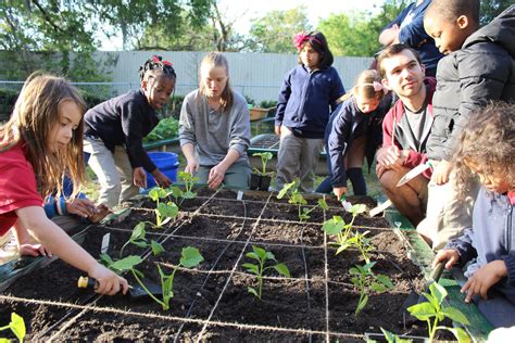 students create a community garden