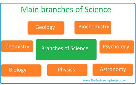 study definition in science