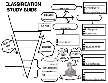 Study Guide The History Of Classification