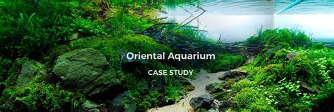 Study Of Aquarium Is Called