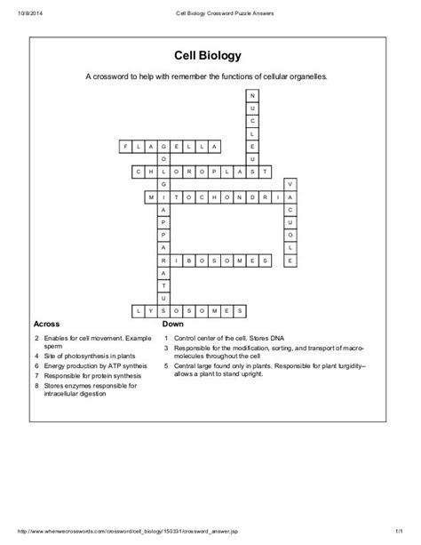 Cellular respiration crossword WordMint