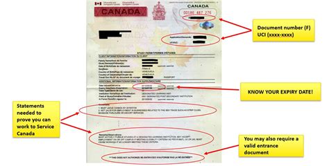 study permit reference number