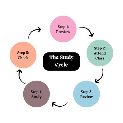 Effective Study System