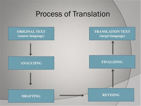 study translate in different language