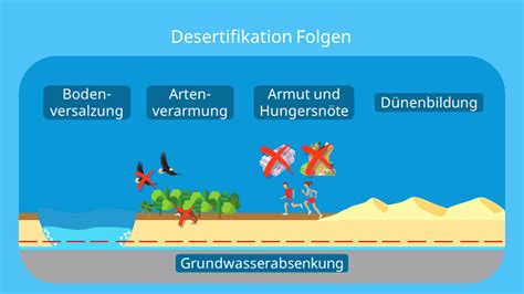 studyflix desertifikation
