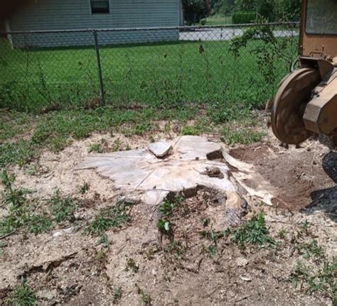 CLEVELAND, TN STUMP GRINDING Home