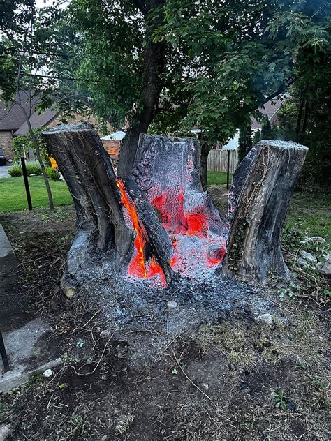 stump burning