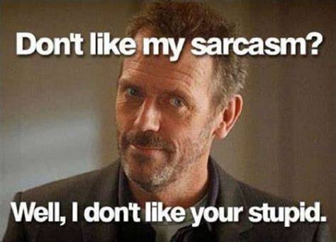 I See Stupid Memes All the Time...65 of Them and Not in My Dreams!