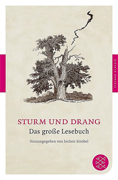 sturm und drang buch