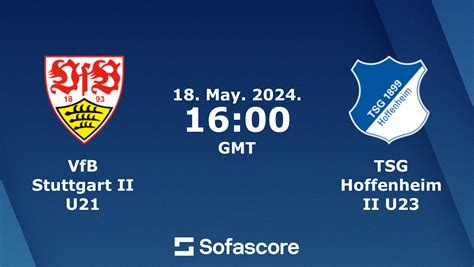 stuttgart vs hoffenheim h2h