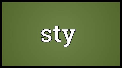 sty meaning in english