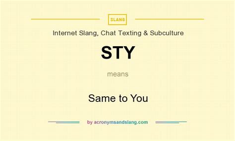 sty meaning slang