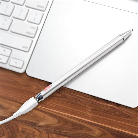 stylus for ipad in store