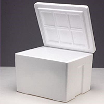 styrofoam boxes for shipping cold items