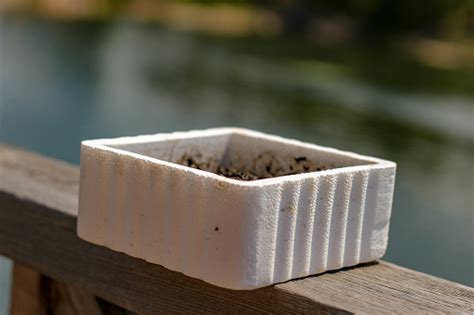 styrofoam containers with lids for worms