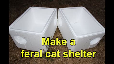 styrofoam cooler for cat shelter
