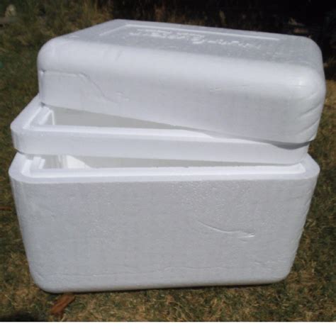 styrofoam cooler for shipping