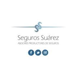 suarez insurance group llc