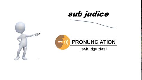 sub judice in a sentence