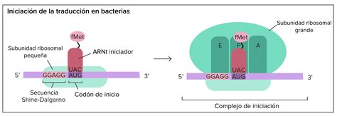 Sub Stage Traduccion