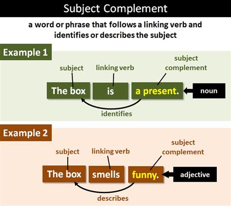 subject linking verb complement examples with answers