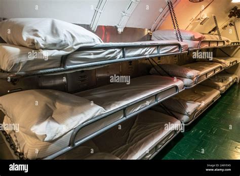 Submarine Beds