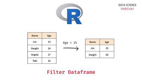 subset dataframe based on column value