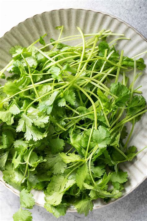 Substitute Cilantro With Celery