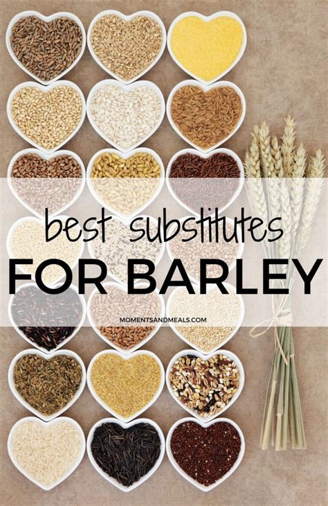 Substitute For Black Barley
