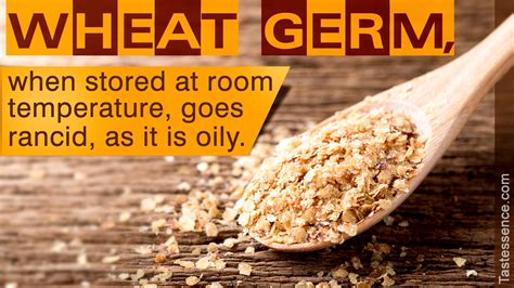 substitute for wheat germ in bread