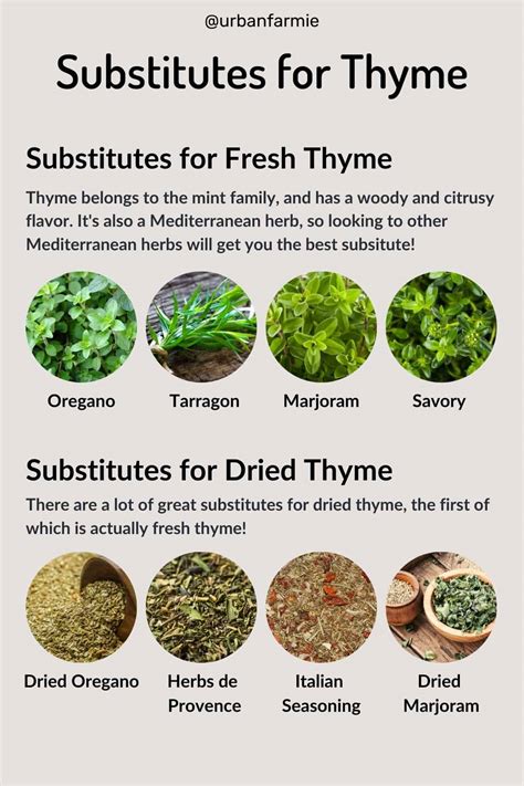 Substitute Thyme Recipe
