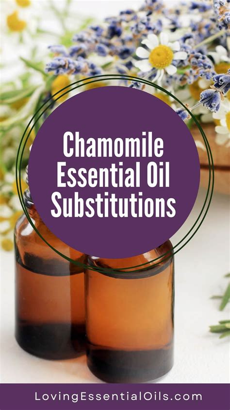 Substitutes For Chamomile