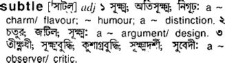 subtle meaning in bengali with example