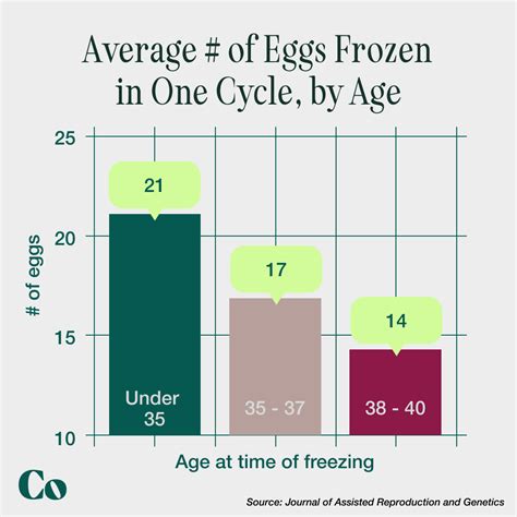 success rate of freezing eggs