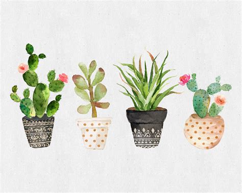 Succulent Care Guide Insert Card Succulent Gifts Cactus Care Etsy