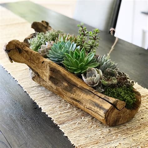 Succulent Planters: An Essential For Every Home