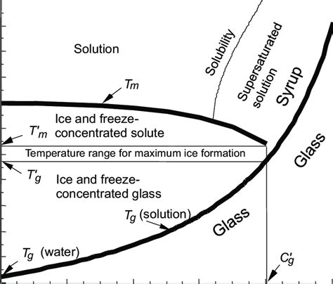 sucrose glass transition temperature